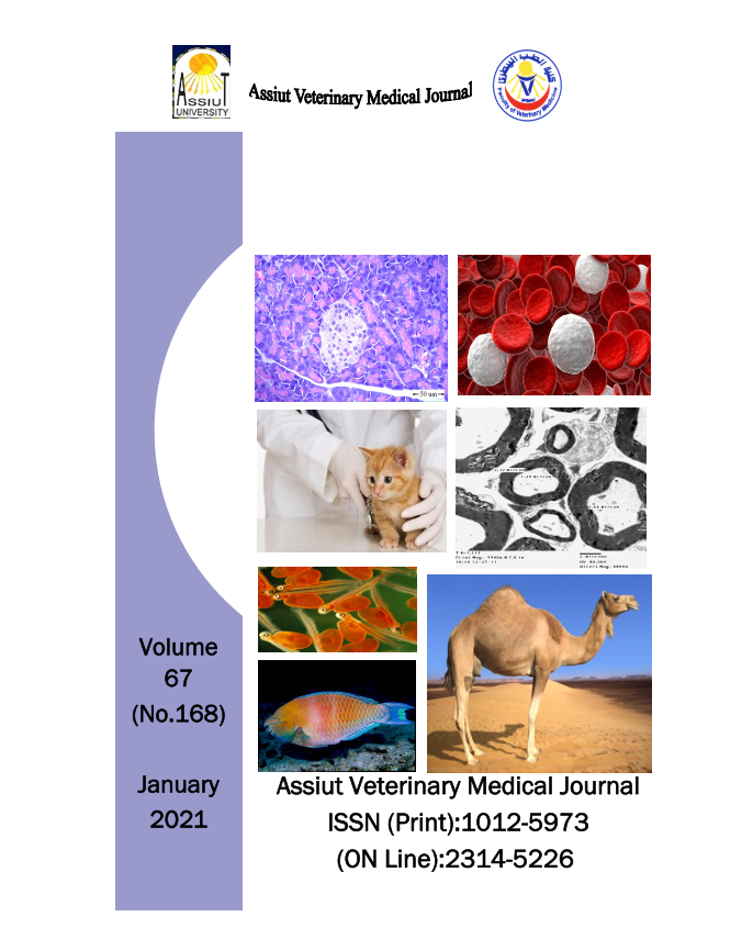 Assiut Veterinary Medical Journal